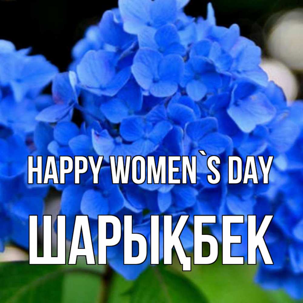 Greetings card с именем, ШАРЫҚБЕК happy women`s day синие цветы Greetings with text for free download 
